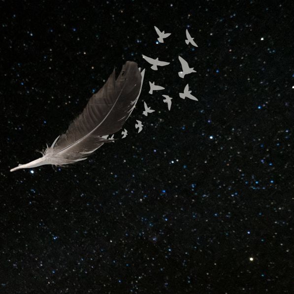 Event image 2
